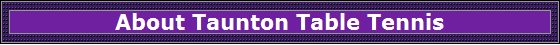 About Taunton Table Tennis